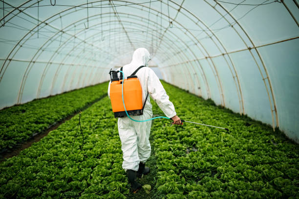 Best Emergency Pest Control  in Woodburn, OR