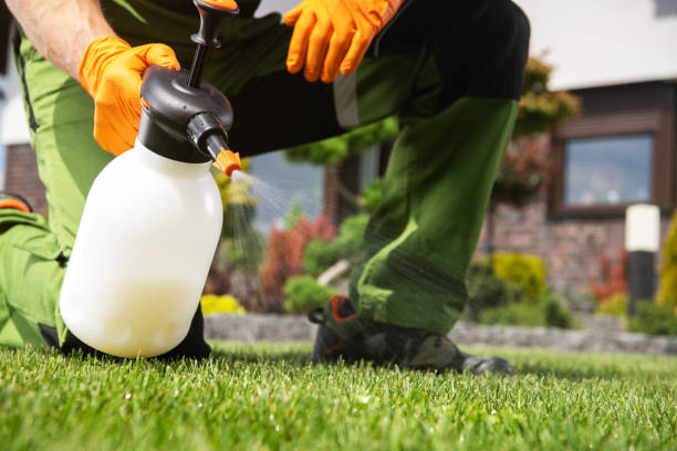 Professional Pest Control in Woodburn, OR