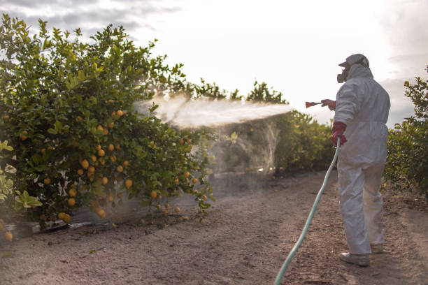 Best Affordable Pest Control Services  in Woodburn, OR
